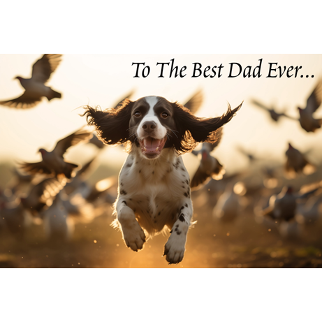 2026 Father's Day Cards