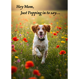 2026 Mother's Day Cards