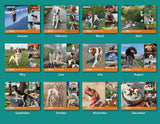 NBRAN 2027 Wall Calendar