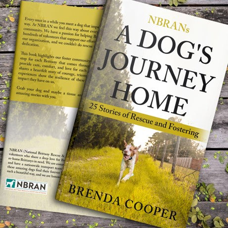 A Dog's Journey Home by Brenda Cooper